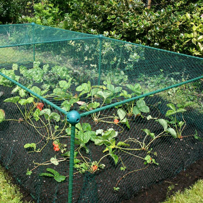 Buy Fruit and Vegetable Garden Cage Kit (0.625m high) online UK