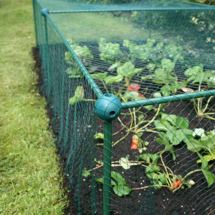 Buy Fruit and Vegetable Garden Cage Kit (0.625m high) online UK