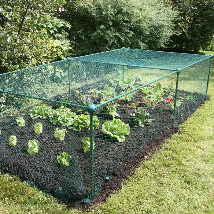 Buy Fruit and Vegetable Garden Cage Kit (0.625m high) online UK