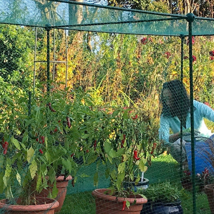 Buy Fruit and Vegetable Garden Cage Kit (1.25m high) online UK