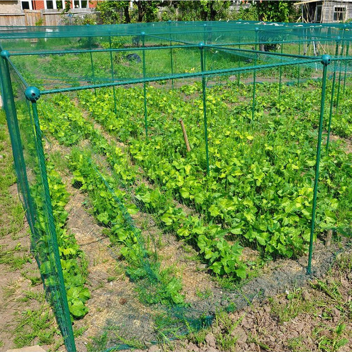 Buy Fruit and Vegetable Garden Cage Kit (1.25m high) online UK