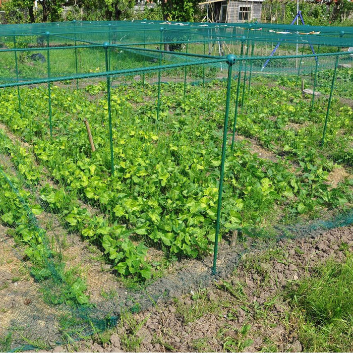 Buy Fruit and Vegetable Garden Cage Kit (1.25m high) online UK