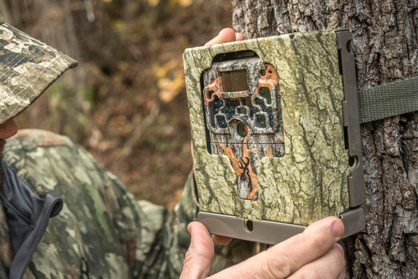 Buy Gardenature Browning Trail Camera Security Box online UK