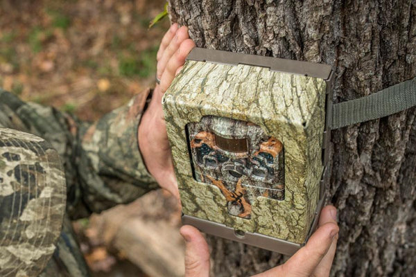 Buy Gardenature Browning Trail Camera Security Box online UK