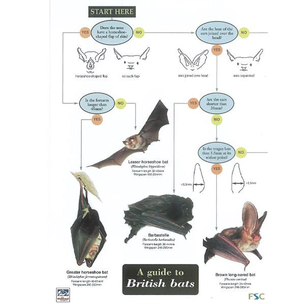 Buy Gardenature Field Study Guide Poster online UK