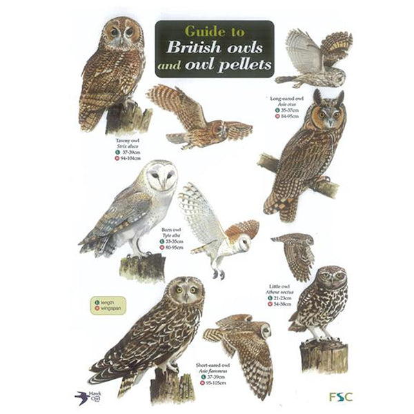 Buy Gardenature Field Study Guide Poster online UK