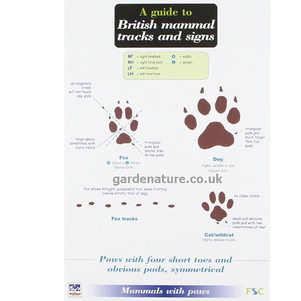 Buy Gardenature Field Study Guide Poster online UK
