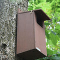 Buy Gardenature Little Owl Box online UK