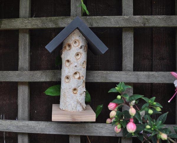 Buy Gardenature The Birch Ladybird Tower online UK