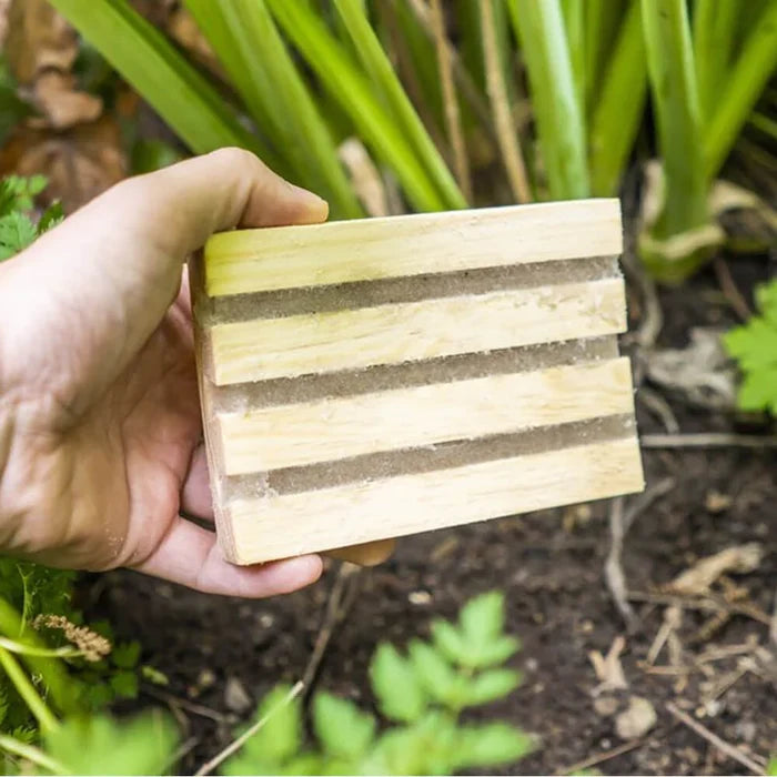 Buy Gardening Naturally NemaTop Adult Vine Weevil Trap online UK
