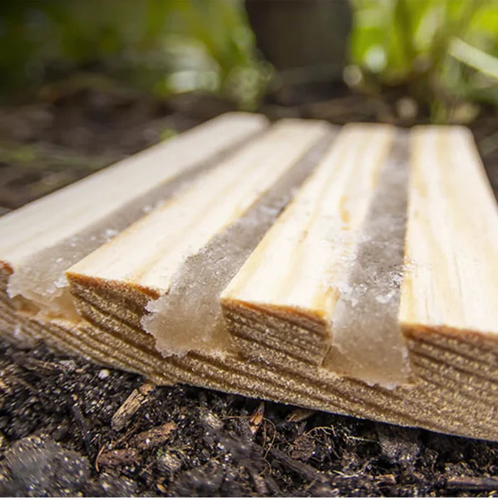 Buy Gardening Naturally NemaTop Adult Vine Weevil Trap online UK