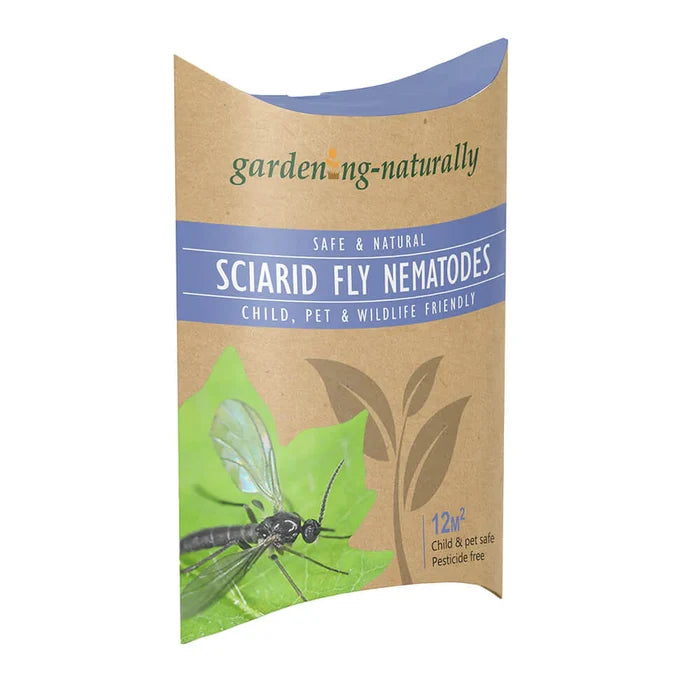 Buy Gardening Naturally Sciarid Fly Nematodes (Fungus Gnat) online UK