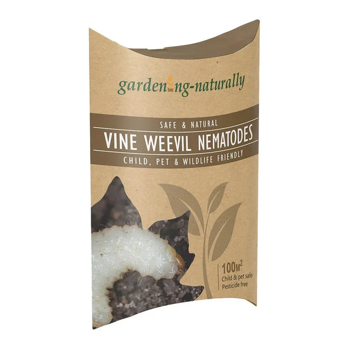 Buy Gardening Naturally Vine Weevil Nematodes online UK
