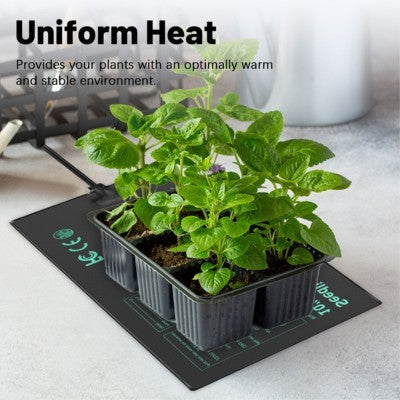 Buy GardenSkill Heated Propagator & Indoor Greenhouse with LED Light online UK