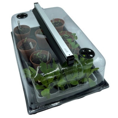 Buy GardenSkill Heated Propagator & Indoor Greenhouse with LED Light online UK