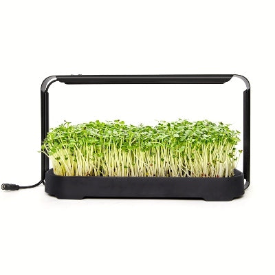 Buy GardenSkill Indoor Hydroponics Growing System with LED Light online UK