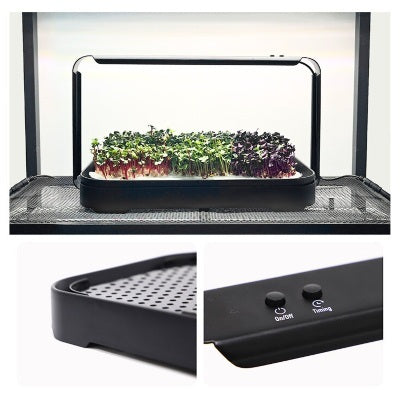 Buy GardenSkill Indoor Hydroponics Growing System with LED Light online UK