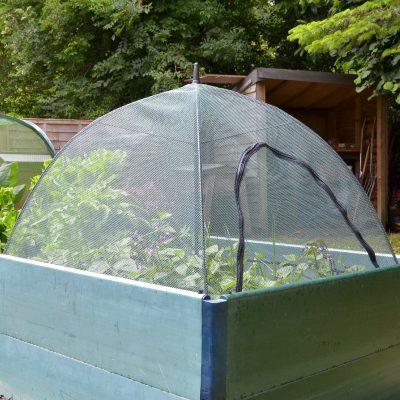Buy GardenSkill Pop n Crop Plant Umbrella Dome Cover for Crops & Raised Beds - Rectangular online UK