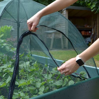 Buy GardenSkill Pop n Crop Plant Umbrella Dome Cover for Crops & Raised Beds - Rectangular online UK