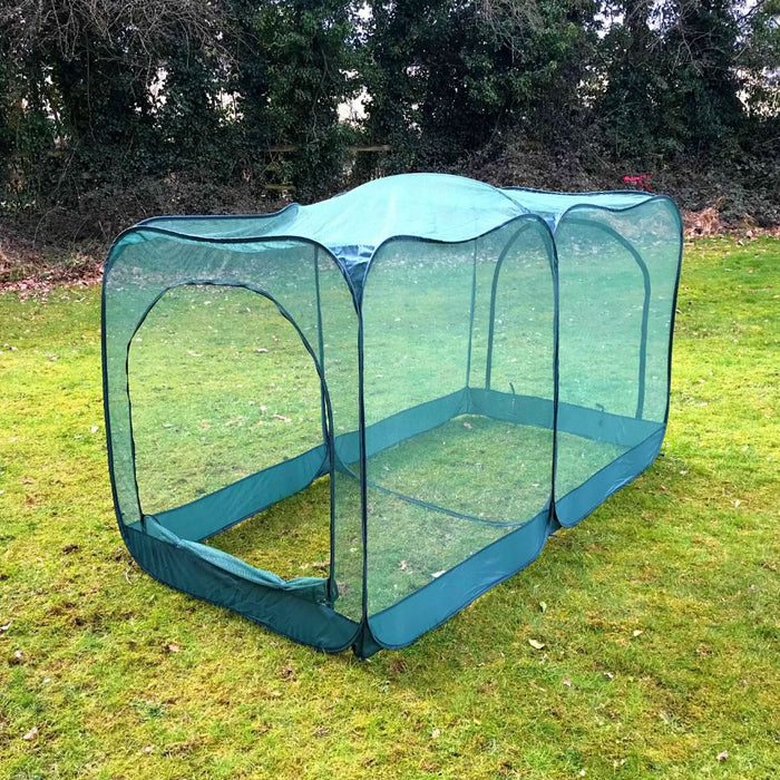 Buy Giant Pop Up Crop Cage & Brassica Protection Cover online UK