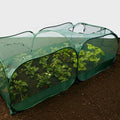 Buy Giant Pop Up Fruit Cage & Plant Protection Cover online UK