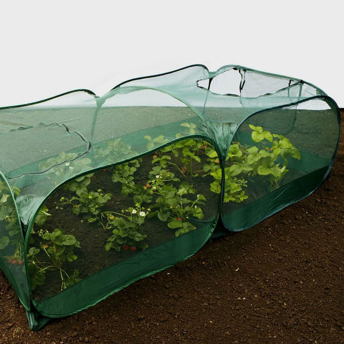 Buy Giant Pop Up Fruit Cage & Plant Protection Cover online UK
