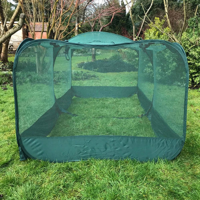 Buy Giant Pop Up Fruit Cage & Plant Protection Cover online UK