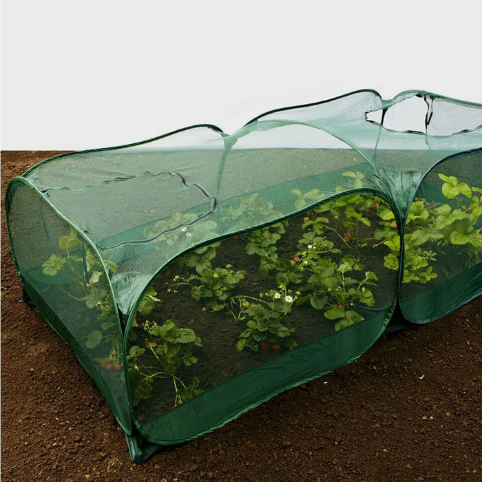 Buy Giant Pop Up Fruit Cage & Plant Protection Cover online UK