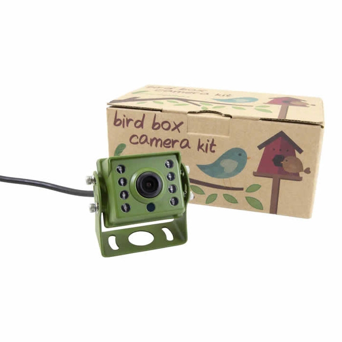 Buy Green Feathers Bird Feeder Camera HD TV Cable Connection online UK