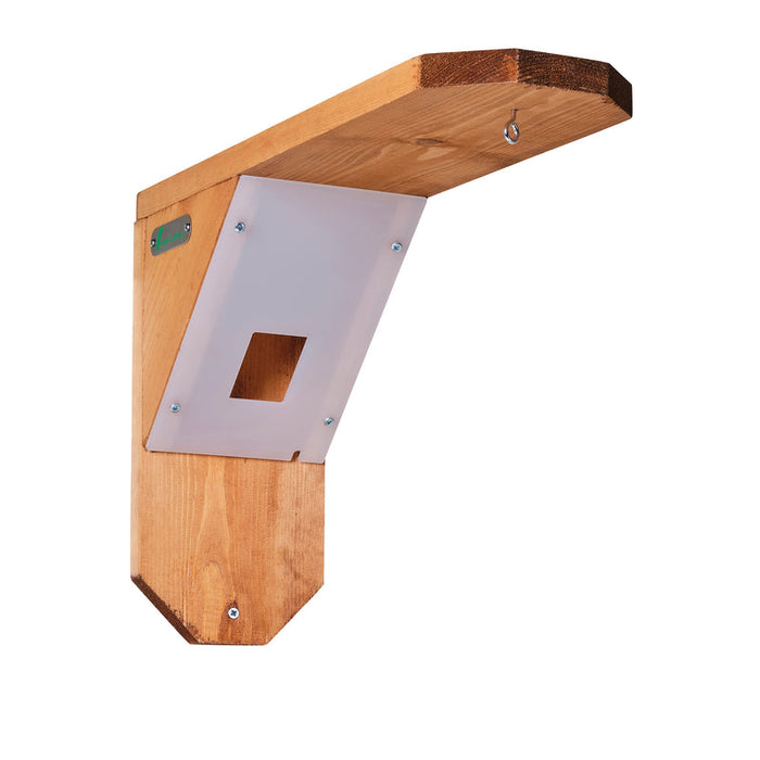 Buy Green Feathers Bird Feeding Station with Waterproof Window online UK