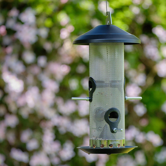 Buy Green Feathers Bird Seed Feeder online UK