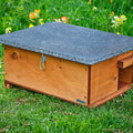 Buy Green Feathers Hedgehog House online UK