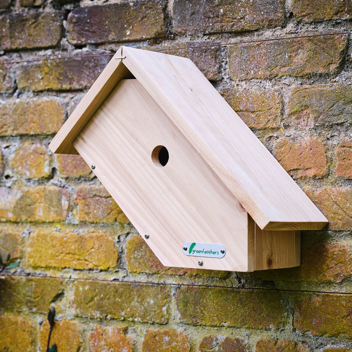 Buy Green Feathers Side View Bird Box online UK