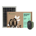 Buy Green Feathers Solar Bird Box Camera 3rd Gen HD with WiFi connection online UK