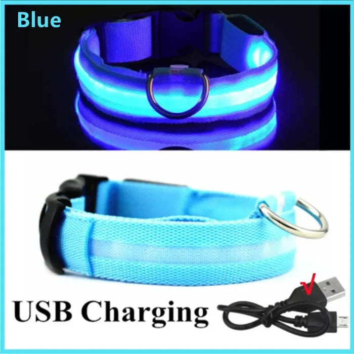 S / Blue USB Charging