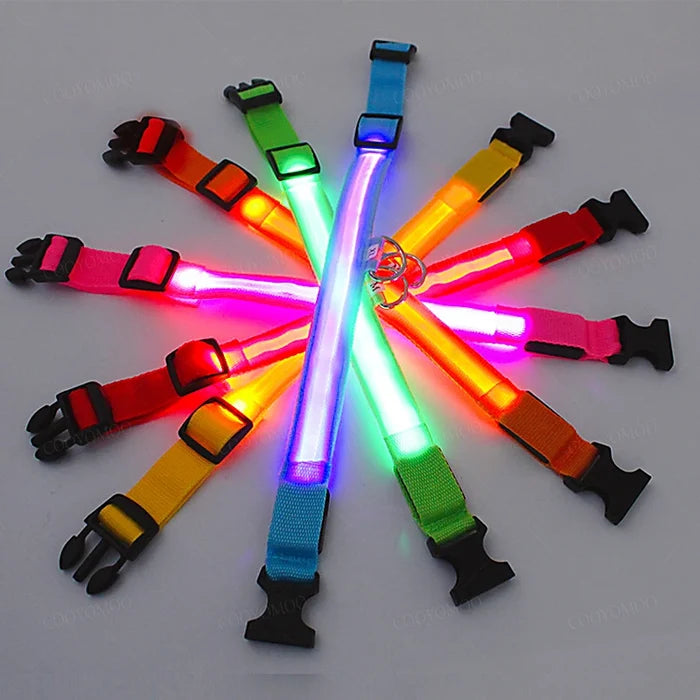 Guardian Glow LED Safety Collar | USB Rechargeable