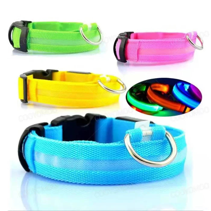 Guardian Glow LED Safety Collar | USB Rechargeable