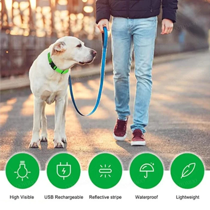 Guardian Glow LED Safety Collar | USB Rechargeable