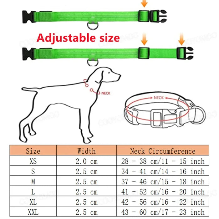 Guardian Glow LED Safety Collar | USB Rechargeable