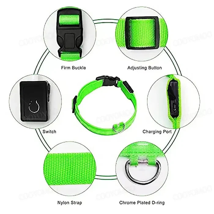 Guardian Glow LED Safety Collar | USB Rechargeable