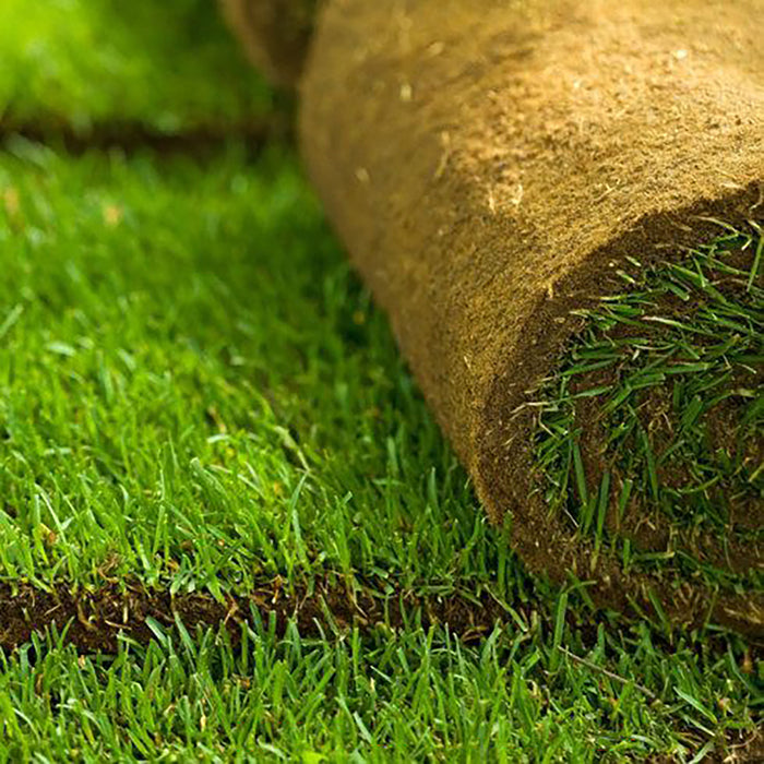 Hallstone Turf