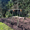 Buy Heavy Duty Tomato Cage & Extendable Plant Support Frame for Grow Bags Greenhouse & Raised Beds online UK