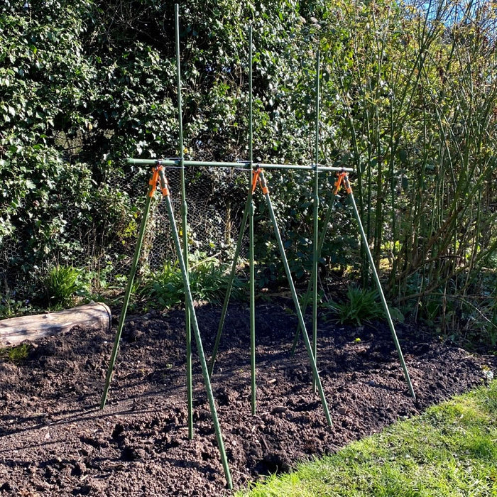 Buy Heavy Duty Tomato Cage & Extendable Plant Support Frame for Grow Bags Greenhouse & Raised Beds online UK