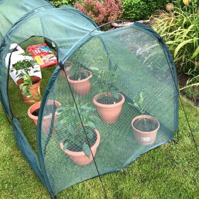 Buy Hen Den Chicken Run Tunnel & Pet House - 2m online UK