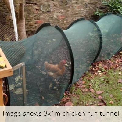 Buy Hen Den Chicken Run Tunnel & Pet House - 2m online UK
