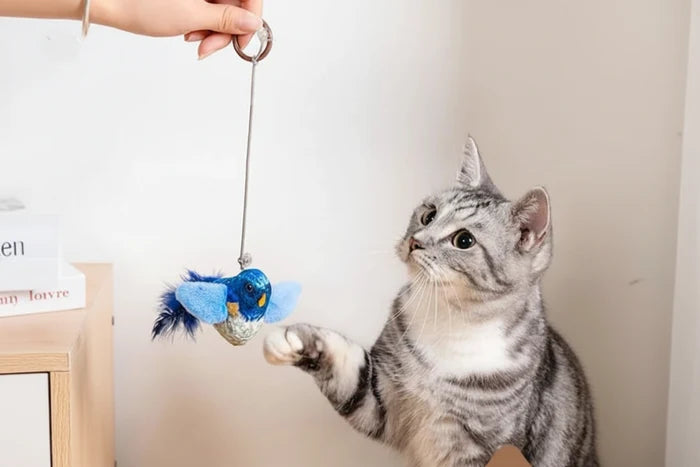 Interactive Hunting Toy for Indoor Cats