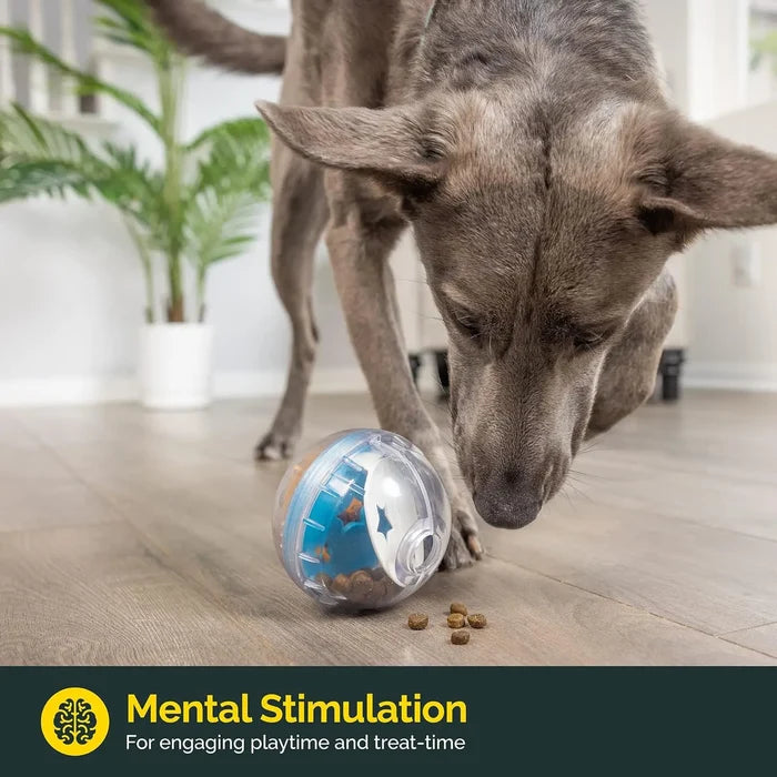 IQ Brain-Booster Ball | Interactive Treat Dispenser & Slow Feeder