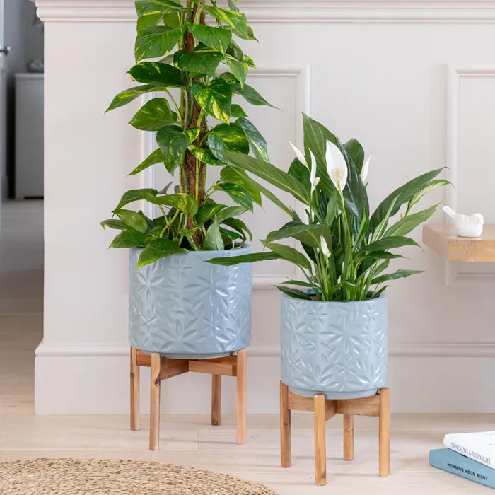 Ivyline Aspen Flower Planter