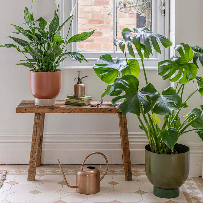 Buy Ivyline Austin Dual Metal Planters - 2 Set online UK