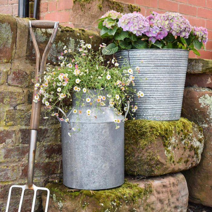 Buy Ivyline Galvanised Milk Churn online UK